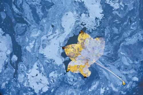 111-Tear-NiSi Close Up Lens