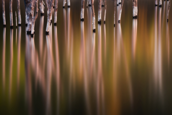 26-Yuta Ooseto PL,ND1000