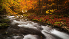 28-Dardagna-NiSi V7 + True Color CPL + IR ND8+SOFT GND16