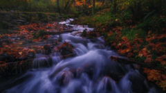 305-NiSi V5 PRO+IR ND8