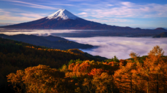 42-Autumn forest road after rain-NiSi V7 + True Color CPL + IR ND1000 + IR ND8