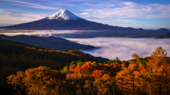 42-Autumn forest road after rain-NiSi V7 + True Color CPL + IR ND1000 + IR ND8