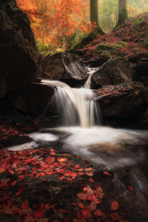 52-Autumn Cascade-NiSi V5 + NiSi Pro CPL