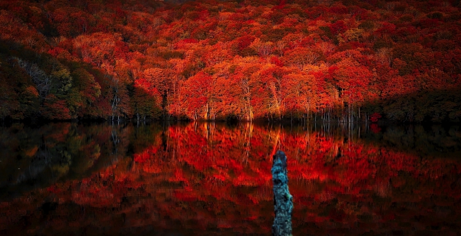 6-小川智教 朱の刻