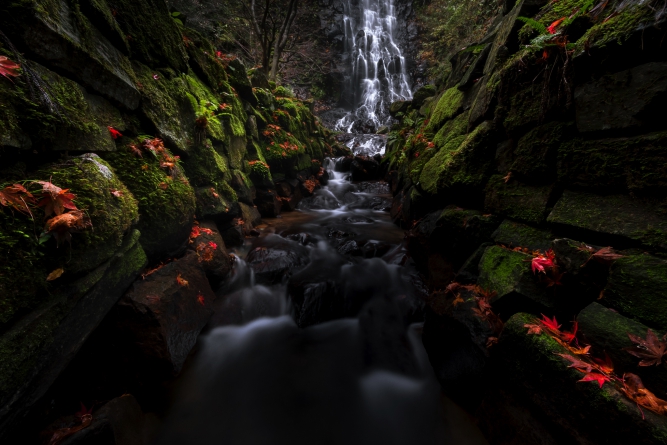 3-井関大地　しっとり落ち葉