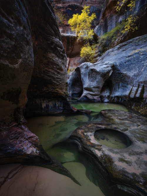 88-Heart of the Canyon-NiSi V7+True Color CPL