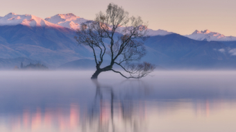 98-Serene Morning-NiSi V5 PRO+SOFT GND8