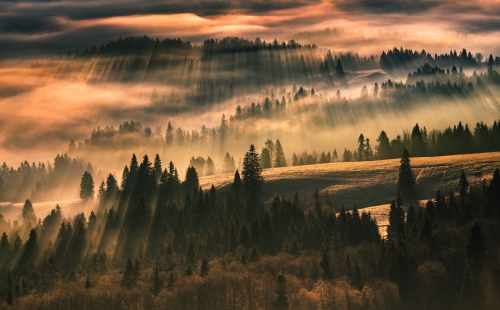 Karol Nienartowicz (1)