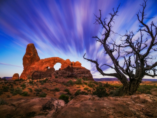 11Mark Miller - Markmiller2