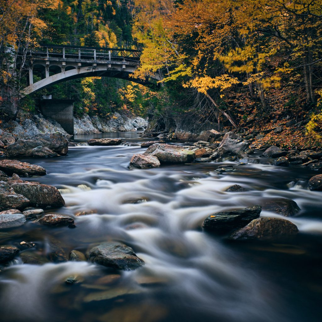 Scott Grant NiSi Gallery