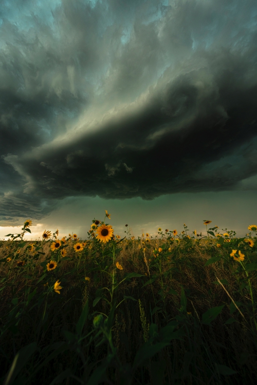 Daniel_Schuhmacher-5DSR_IMG_012986x